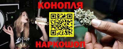 Альфа ПВП Дубна
