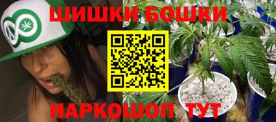 Альфа ПВП Дубна