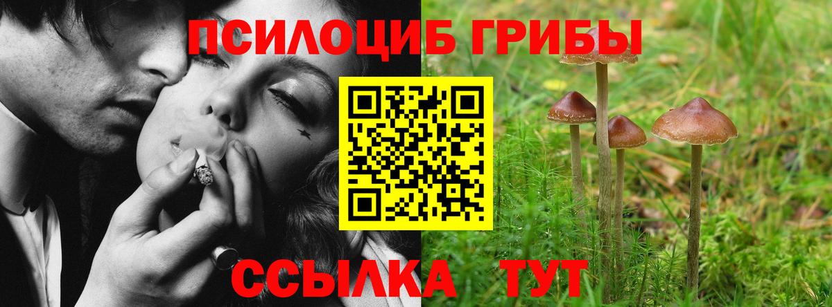 наркота  Галлюциногенные грибы прущие грибы  Вход с VPN  Галлюциногенные грибы Cubensis  Светлоград 